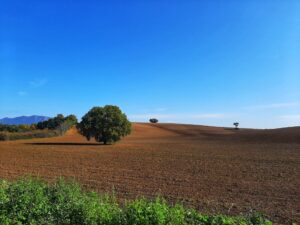 Blog 1 Foto 7 1