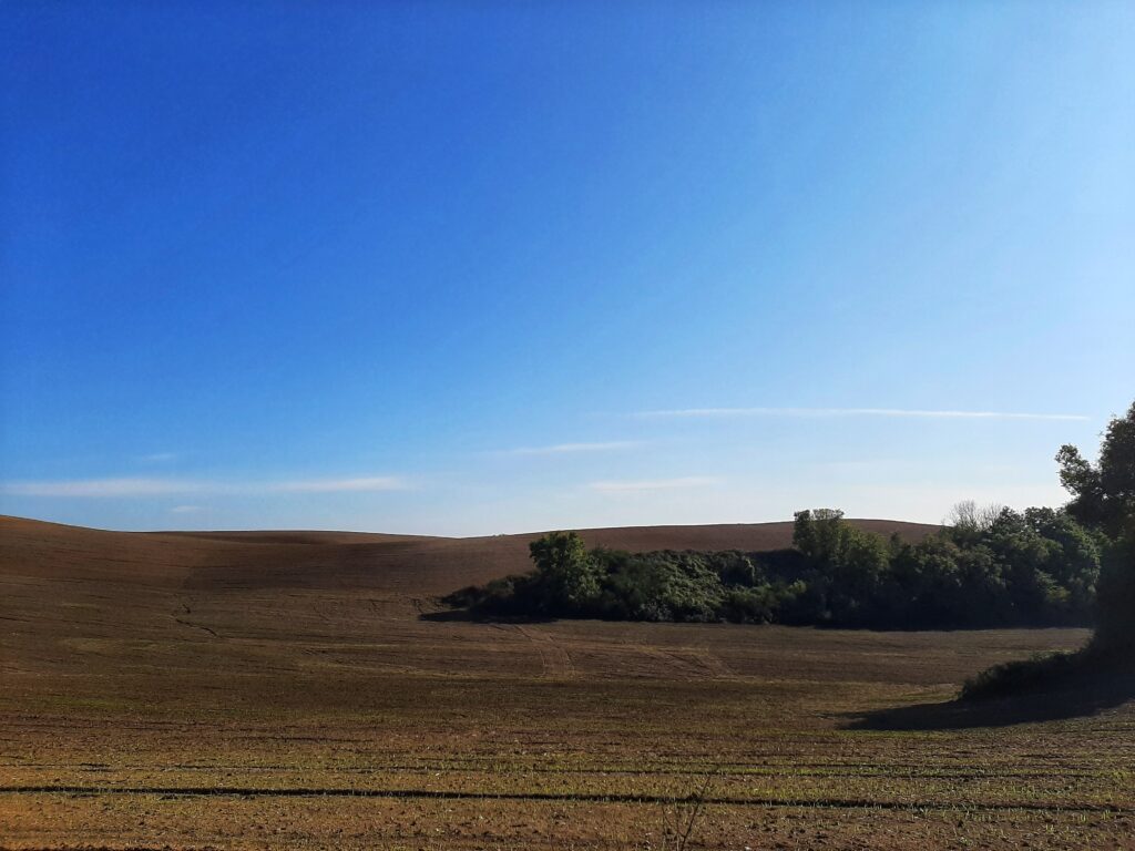 A Calcata, dove nasce e si coltiva la creatività 1 La campagna di Calcata